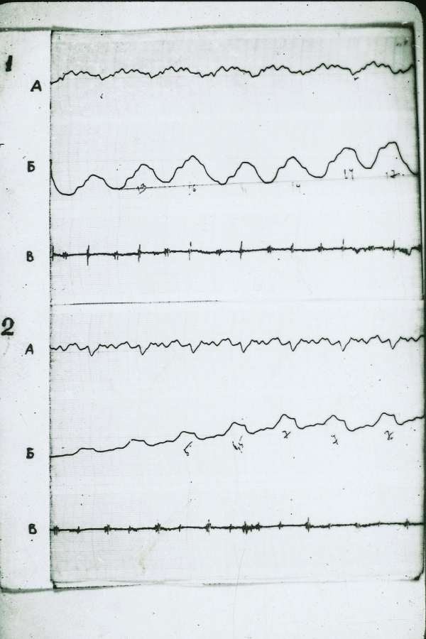 jprr-aid1051-g006